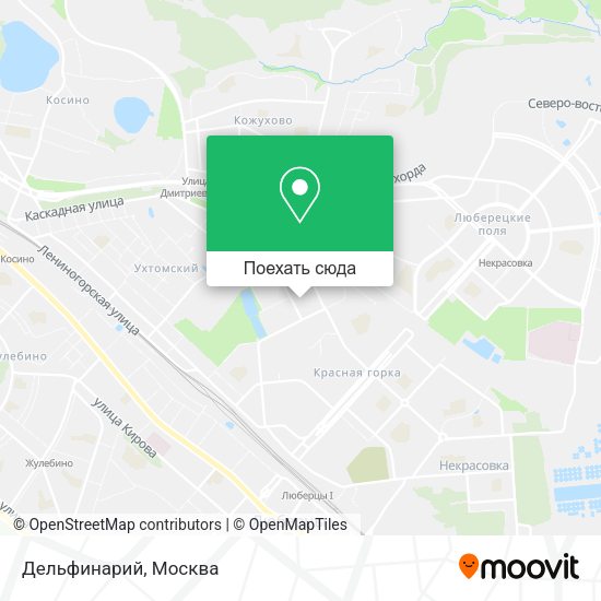 Карта Дельфинарий