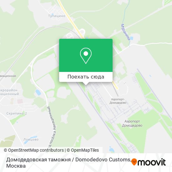 Как доехать до домодедовского кладбища. Таможня Домодедово. Телефон таможни Домодедово. Домодедовская таможня ТС ТК. Домодедово рабочая 46 на карте.