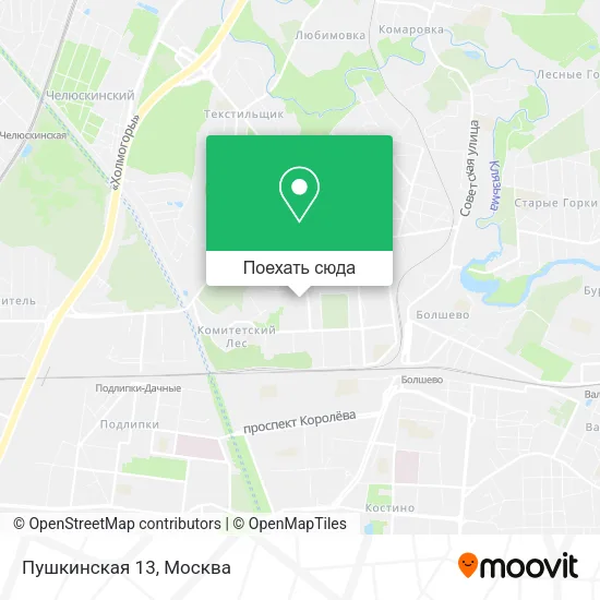 Карта Пушкинская 13