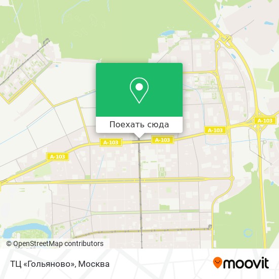 Карта ТЦ «Гольяново»