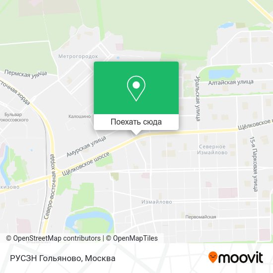 Карта РУСЗН Гольяново