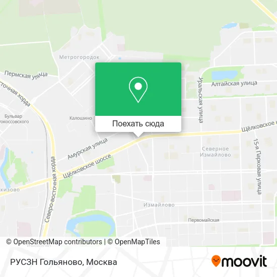 Карта РУСЗН Гольяново