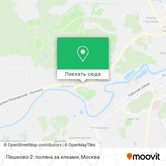 Карта Пешково-2: поляна за елками