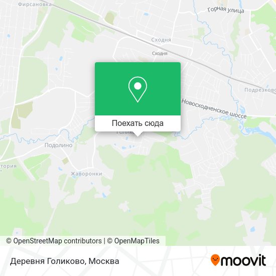 Карта Деревня Голиково