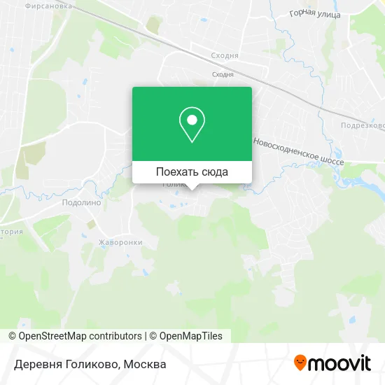 Карта Деревня Голиково