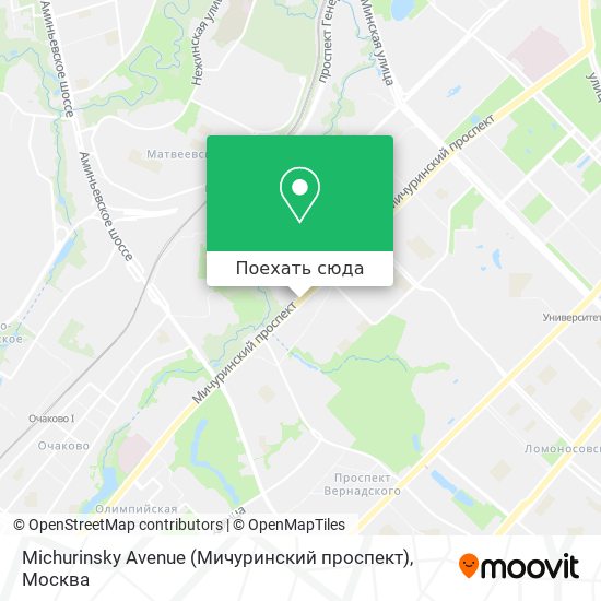 Карта Michurinsky Avenue (Мичуринский проспект)