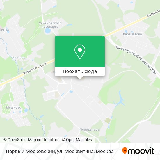 Карта Первый Московский, ул. Москвитина