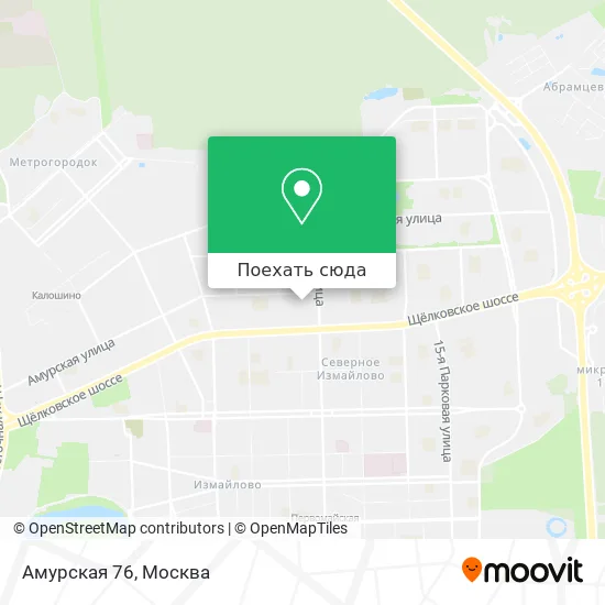 Карта Амурская 76