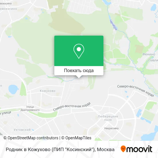 Карта Родник в Кожухово (ПИП "Косинский")