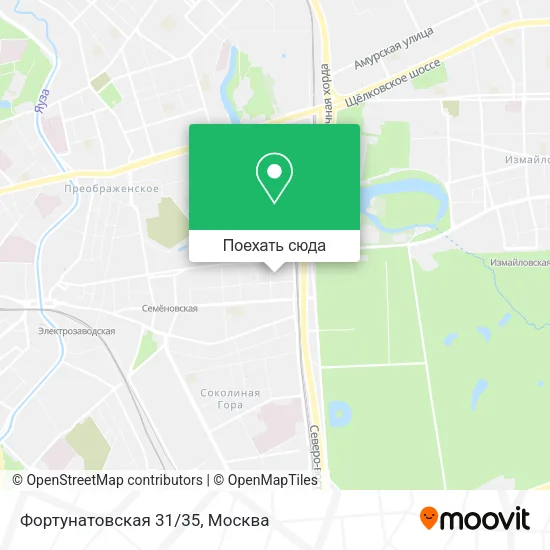 Карта Фортунатовская 31/35