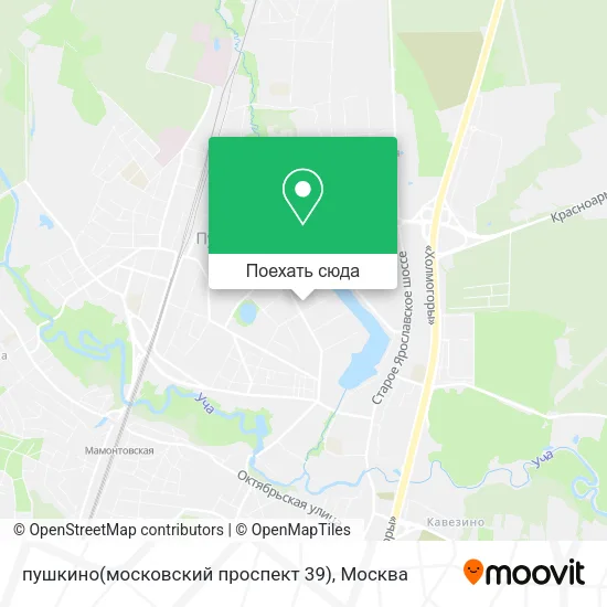 Карта пушкино(московский проспект 39)