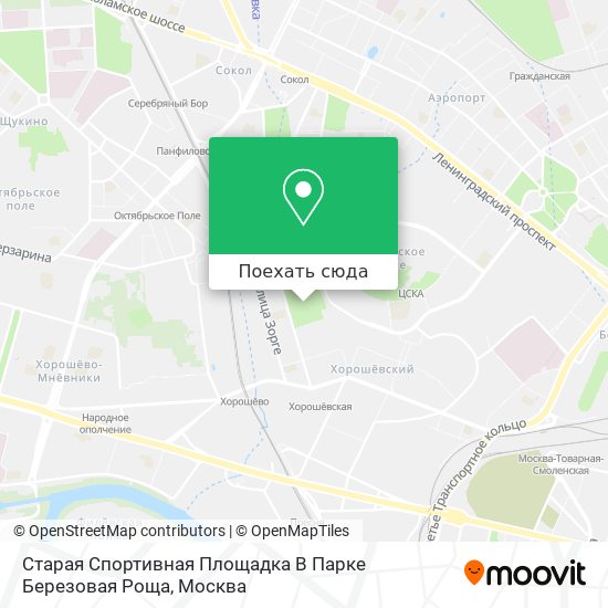 Карта Старая Спортивная Площадка В Парке Березовая Роща