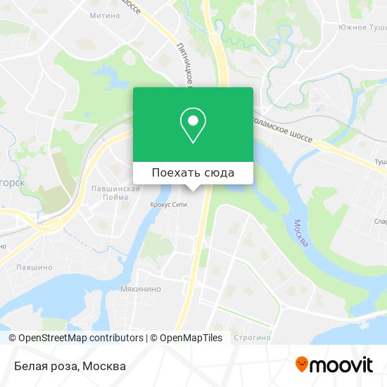 Карта Белая роза