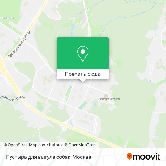 Карта Пустырь для выгула собак