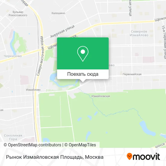 Карта Рынок Измайловская Площадь