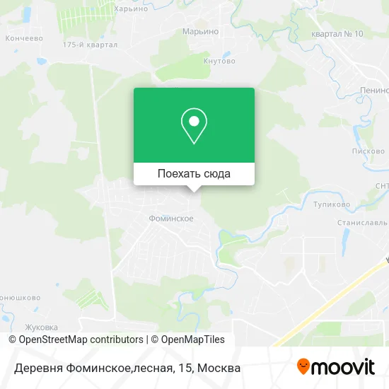 Карта Деревня Фоминское,лесная, 15