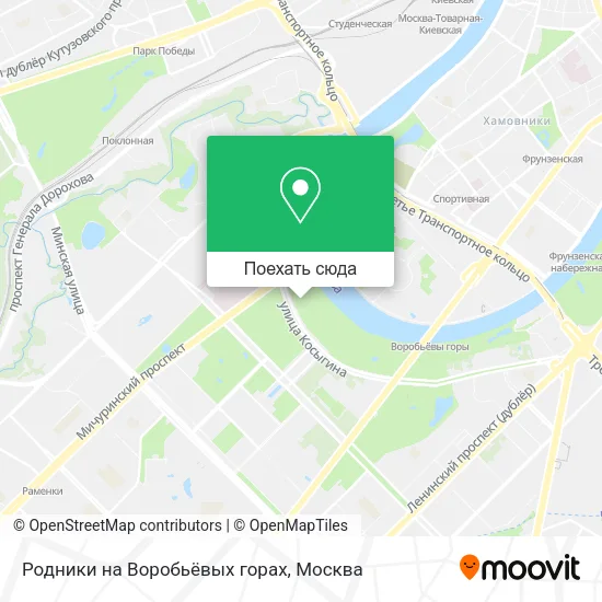 Карта Родники на Воробьёвых горах