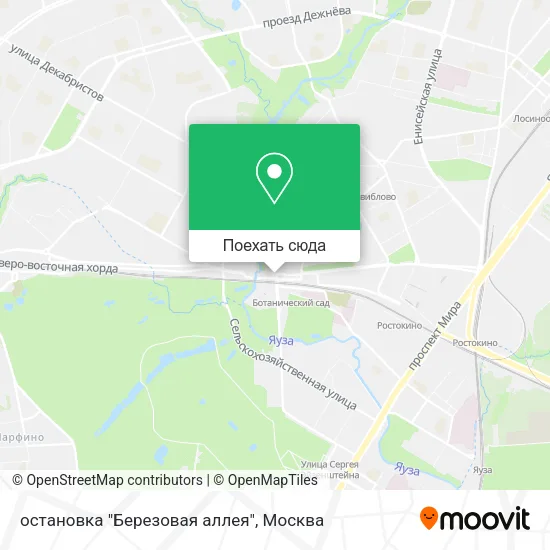 Карта остановка "Березовая аллея"