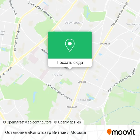 Карта Остановка «Кинотеатр Витязь»