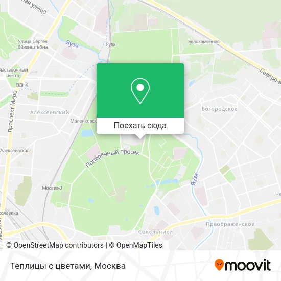 Карта Теплицы с цветами