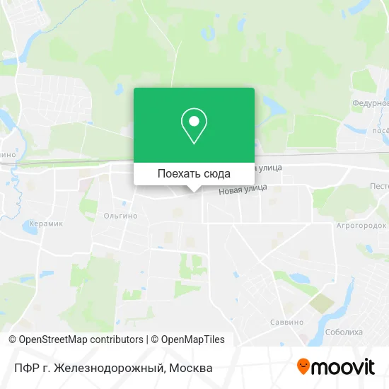 Карта ПФР г. Железнодорожный
