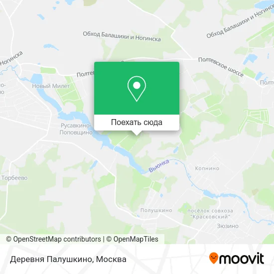 Карта Деревня Палушкино