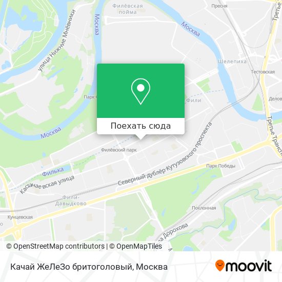 Карта Качай ЖеЛеЗо бритоголовый