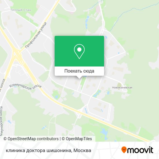 Карта клиника доктора шишонина