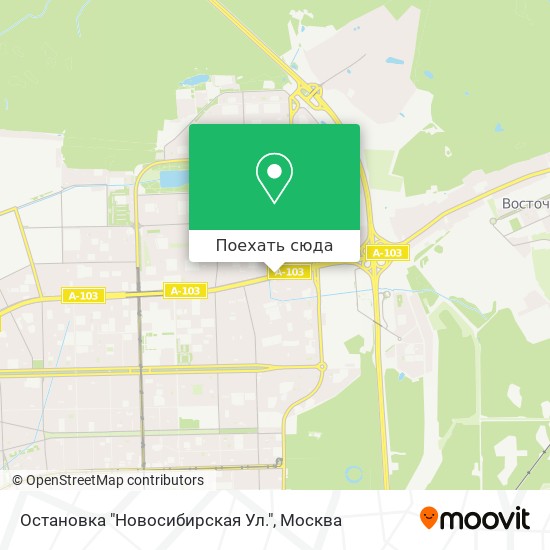 Карта Остановка "Новосибирская Ул."