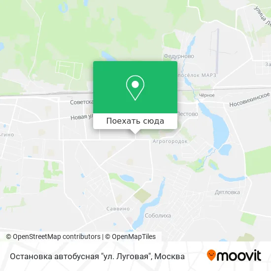 Карта Остановка автобусная "ул. Луговая"