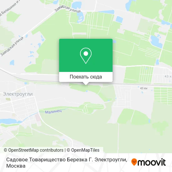 Карта Садовое Товарищество Березка Г. Электроугли