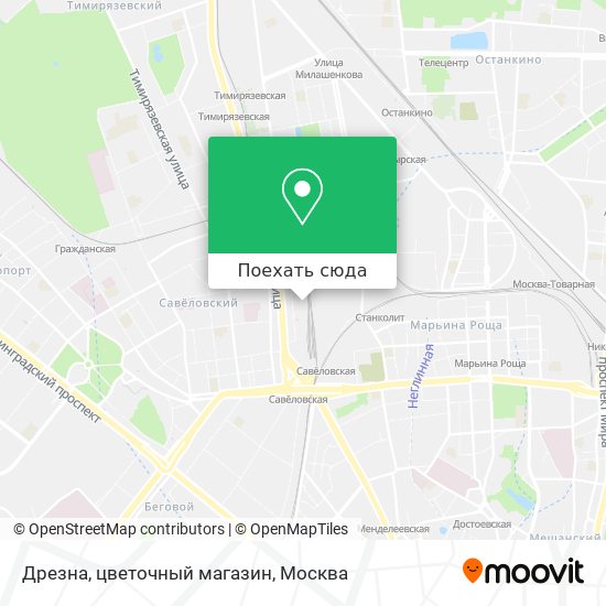 Карта Дрезна, цветочный магазин