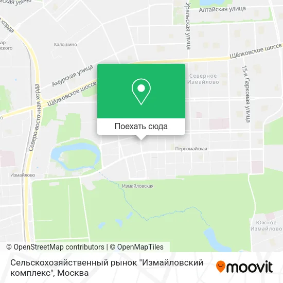 Карта Сельскохозяйственный рынок "Измайловский комплекс"