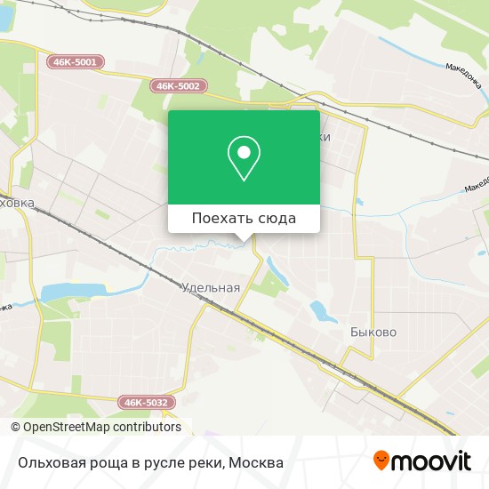 Карта Ольховая роща в русле реки