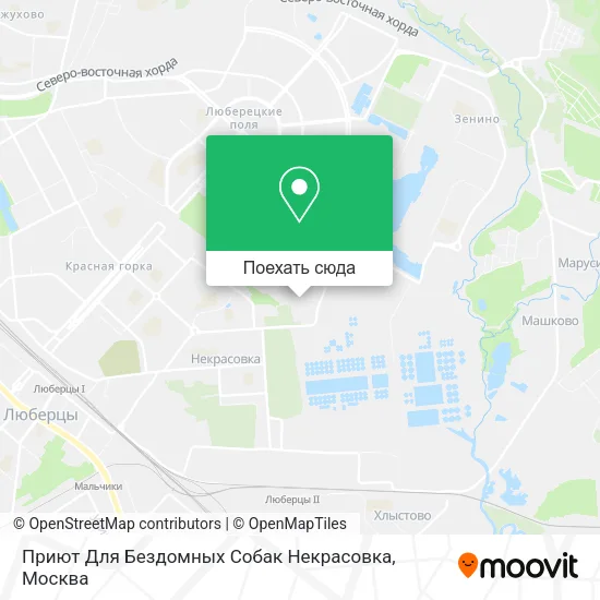 Карта Приют Для Бездомных Собак Некрасовка