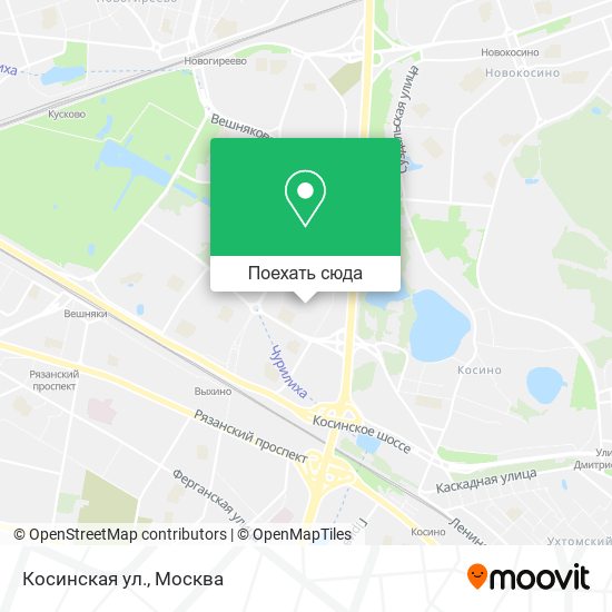 Карта Косинская ул.