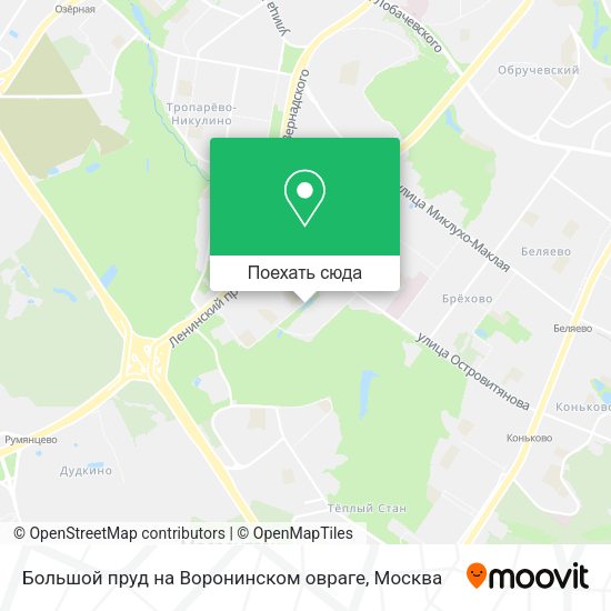 Карта Большой пруд на Воронинском овраге