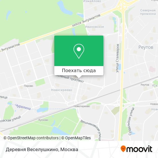 Карта Деревня Веселушкино