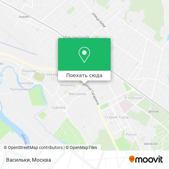 Карта Васильки