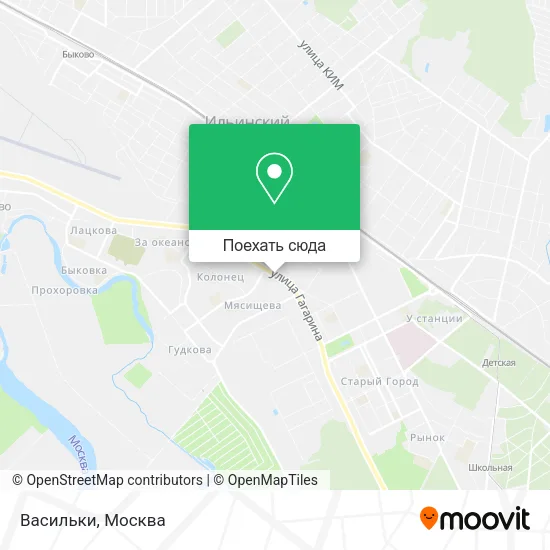 Карта Васильки