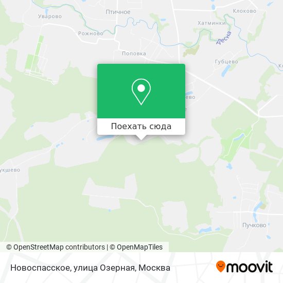 Карта Новоспасское, улица Озерная