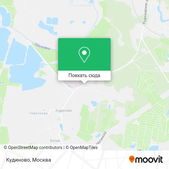 Карта Кудиново