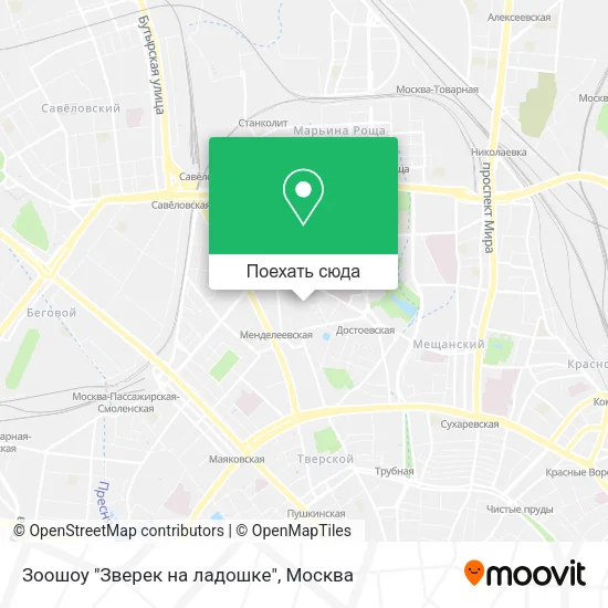 Карта Зоошоу "Зверек на ладошке"