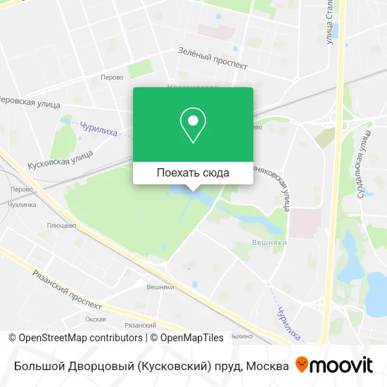Карта Большой Дворцовый (Кусковский) пруд