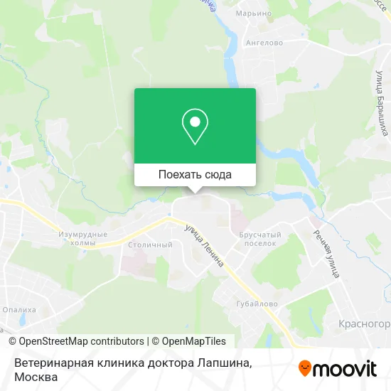 Карта Ветеринарная клиника доктора Лапшина