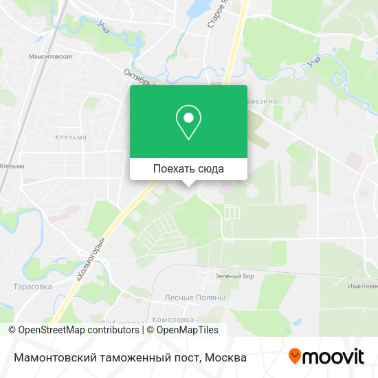 Карта Мамонтовский таможенный пост