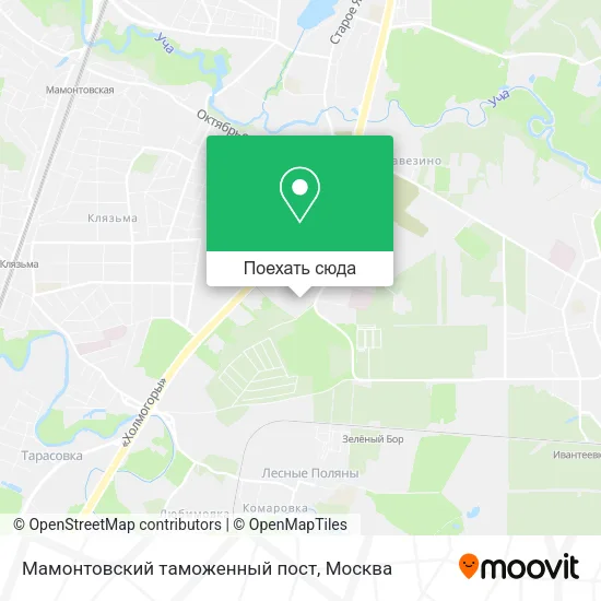 Карта Мамонтовский таможенный пост