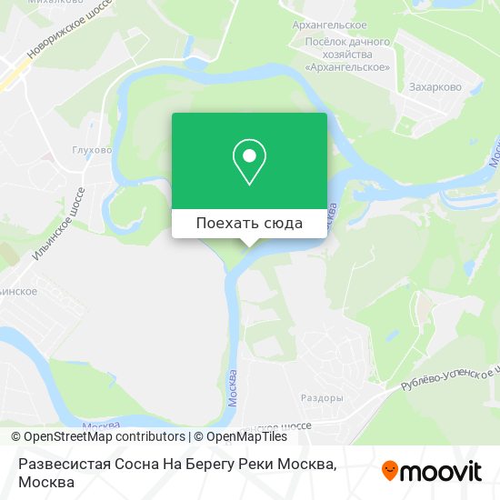 Карта Развесистая Сосна На Берегу Реки Москва
