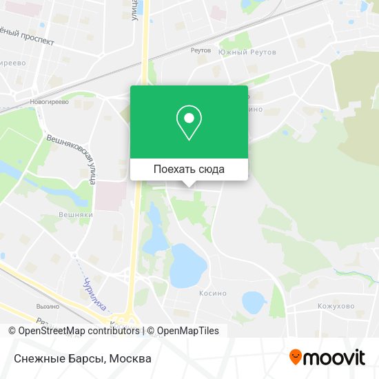 Карта Снежные Барсы