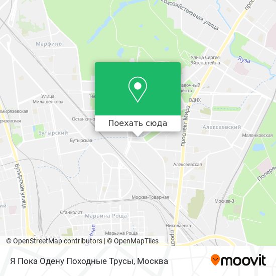 Карта Я Пока Одену Походные Трусы